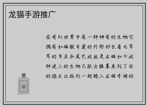 龙猫手游推广